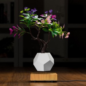 Mașini de plătit magnetice cu bonsai cu aer flotant PA-0708