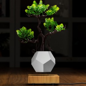 noua bază de lemn cu levitație magnetică cu fundașă de bonsai plantă de ghiveci